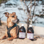 Pies z butelkami suplementów Lunderland na plaży.