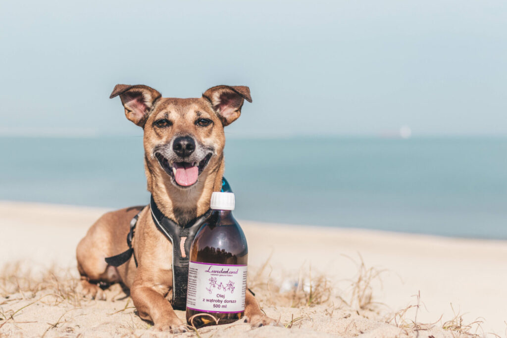 Uśmiechnięty pies obok butelki oleju Lunderland na plaży.