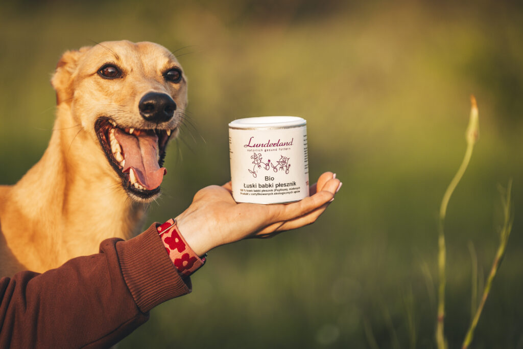 Organiczne łuski babki płesznik BIO Lunderland